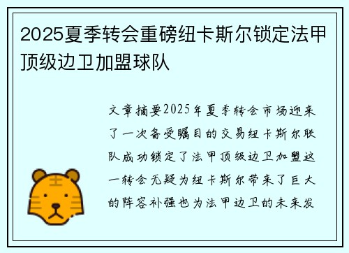 2025夏季转会重磅纽卡斯尔锁定法甲顶级边卫加盟球队